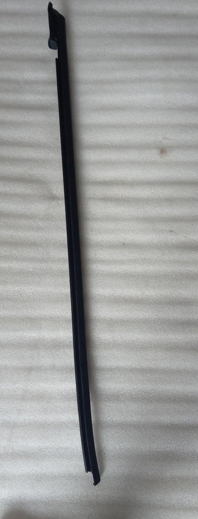 DOOR WHETHER STRIP POLO FRONT LEFT SIDE