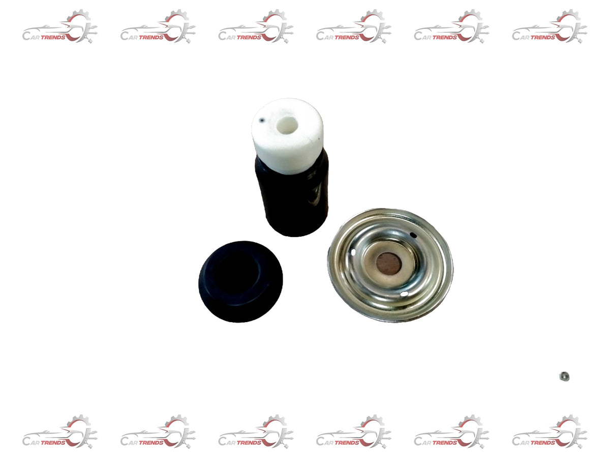 Maruti Suzuki STRUT KIT(NEW WAGON-R) 99000m24120775 - Front view