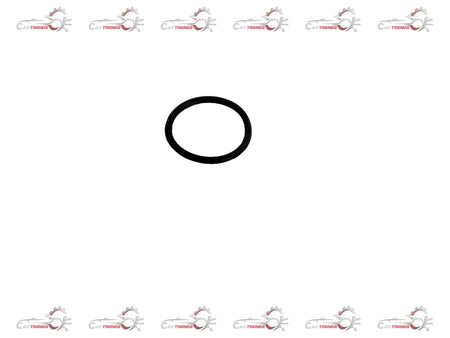 General Motors Seal Park Pawl Actuator Guide O-Ring for Chevrolet Cruze engine component, showing the rubber ring and metal parts.