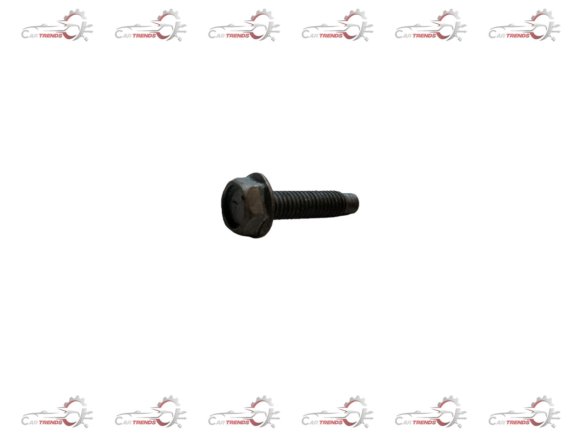Nissan bolt #01125N6071, close-up of the metal automotive fastener on a white background, detailed view of the bolt head and threading