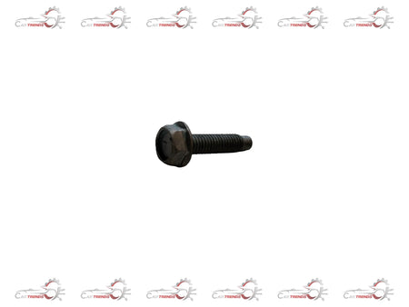 Nissan bolt #01125N6071, close-up of the metal automotive fastener on a white background, detailed view of the bolt head and threading
