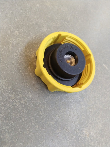 CarTrends Coolant Bottle Cap Figo/Fiesta | All Models | All Variant | #XS6Z8100A XS6Z8100A - Back view