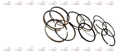 TATA SET-PISTON RING 570703990103 570703990103 - Back view
