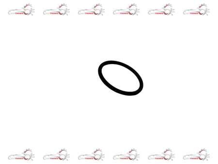 CarTrends O-RING | AMAZE/CITY/CIVIC/ELEVATE | #16452RL0G01 16452RL0G01 - Back view