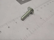 Load image into Gallery viewer, SCREW