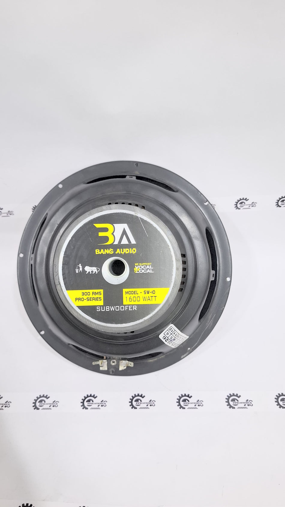 CarTrends 10”BA SW-10 10”subwoofer - Back view