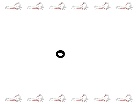 General Motors Seal Oil Level Indicator O Ring for Chevrolet Beat, showing the black rubber ring used in engine oil level monitoring.
