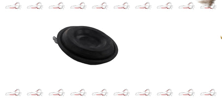 Chevrolet Optra plug hole N40 for General Motors vehicles, showing the metal plug component in a close-up view.
