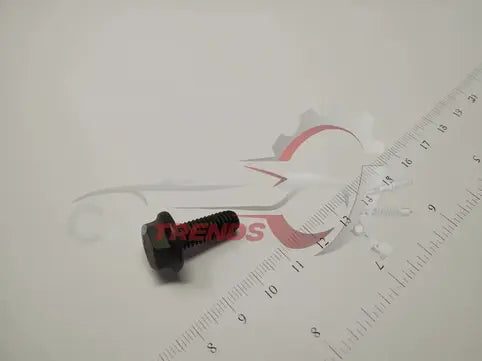 H/FL SCR M6X16 TS17130-8.8-SS8457S1-BL-B