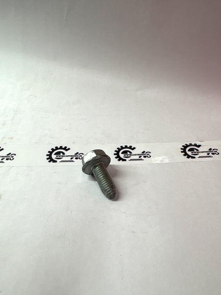 Flanged Hex Head Screw 7703602276 - Back view