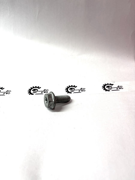 Flanged Hex Head Screw 7703602276 - Front view