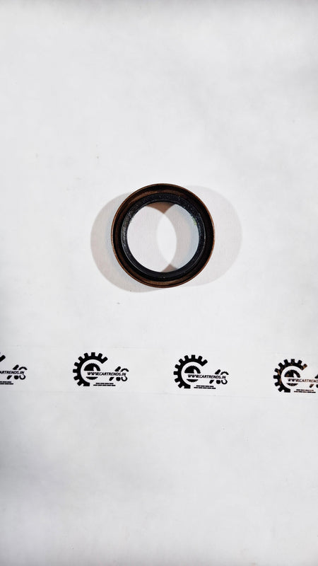 CarTrends Axel Seal EcoSport XS6R3K169CA spare part for Ford EcoSport, shown from the back angle.