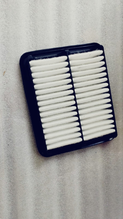 AF4084PM    Air Filter Alto 800 Type 2