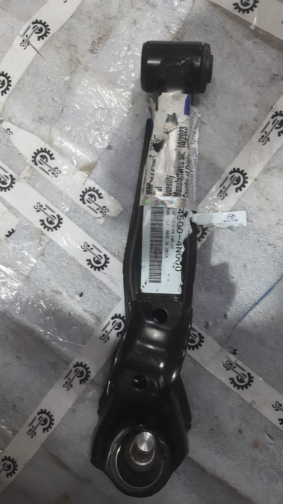 ARM COMPLETE-FR LWR;LH  545004N000