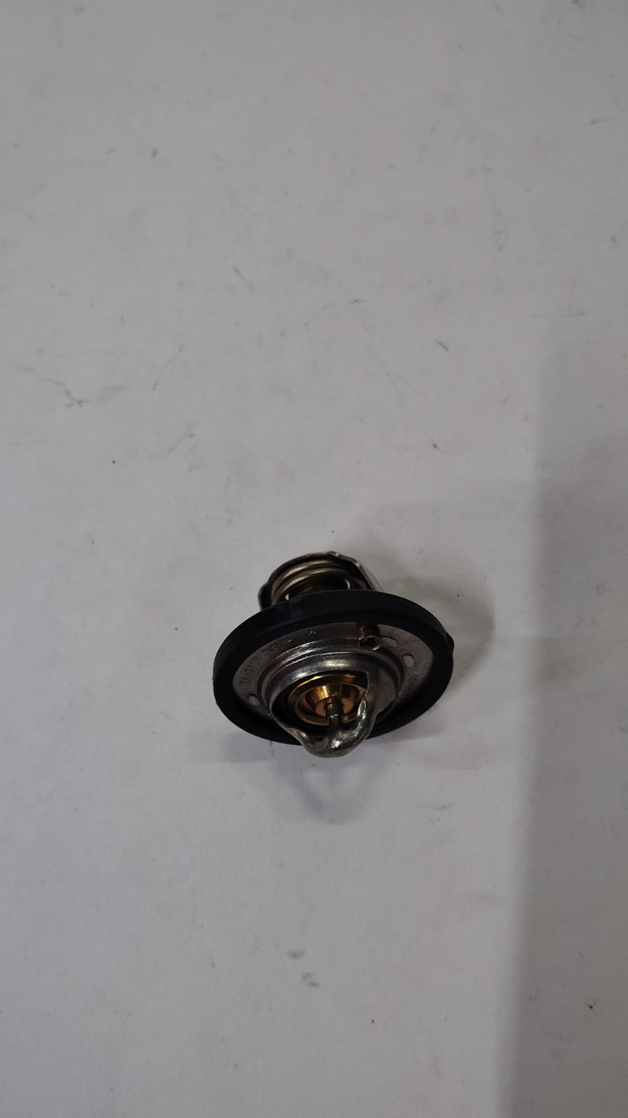 DM5G8575AA  THERMOSTAT ASSY