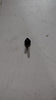 SCREW TAPPING  AMAZE PETROL 82271SWAA01
