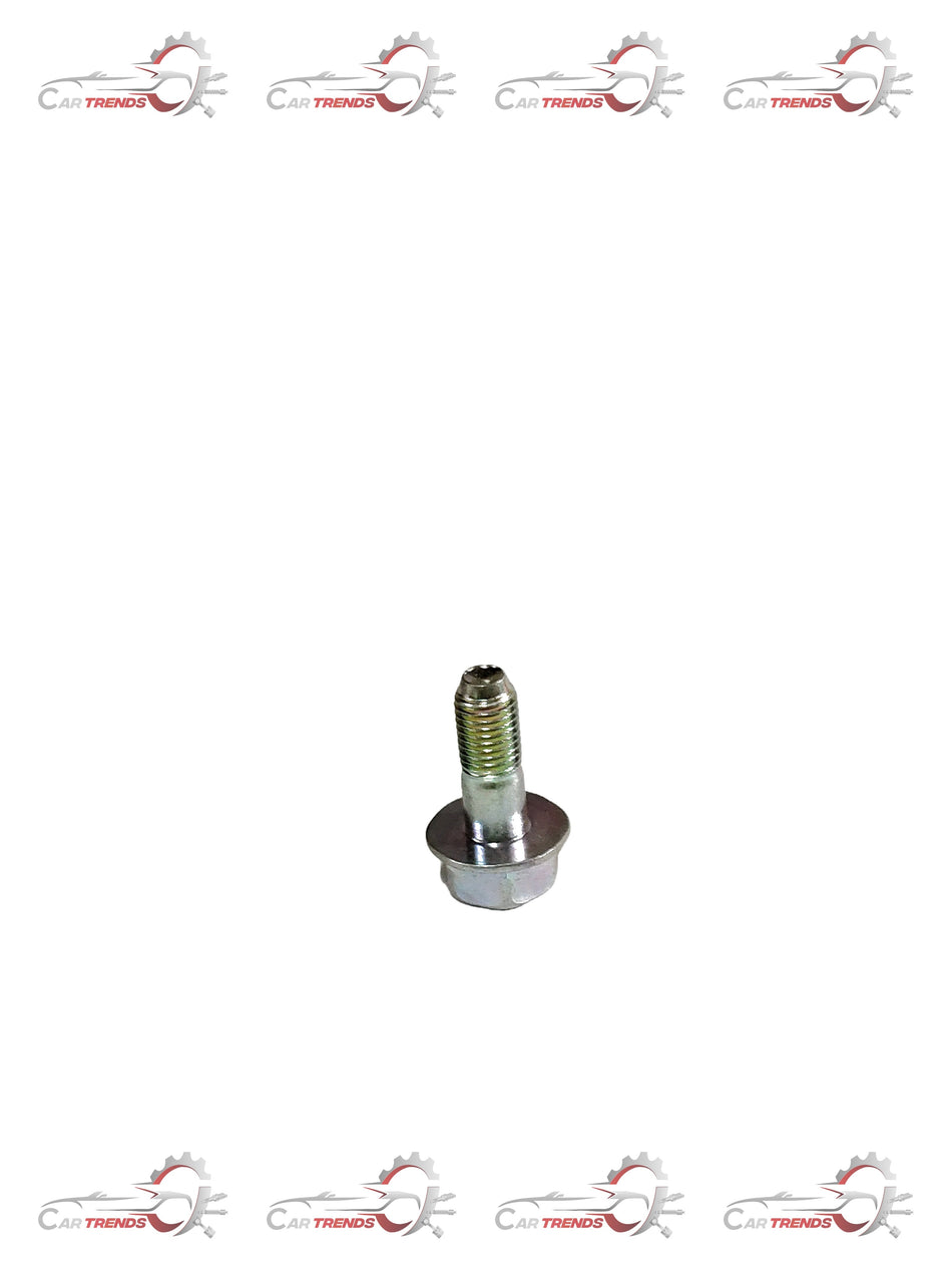 CarTrends screw bolt beat spare part, metallic fastener used in automotive assembly, shown in a close-up image.