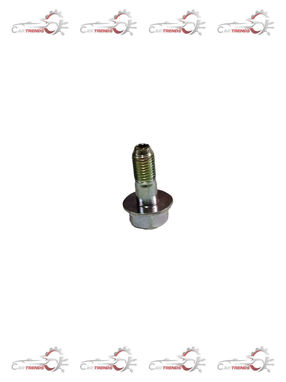 CarTrends screw bolt beat spare part, close-up of the metal screw bolt for automotive repair or replacement.