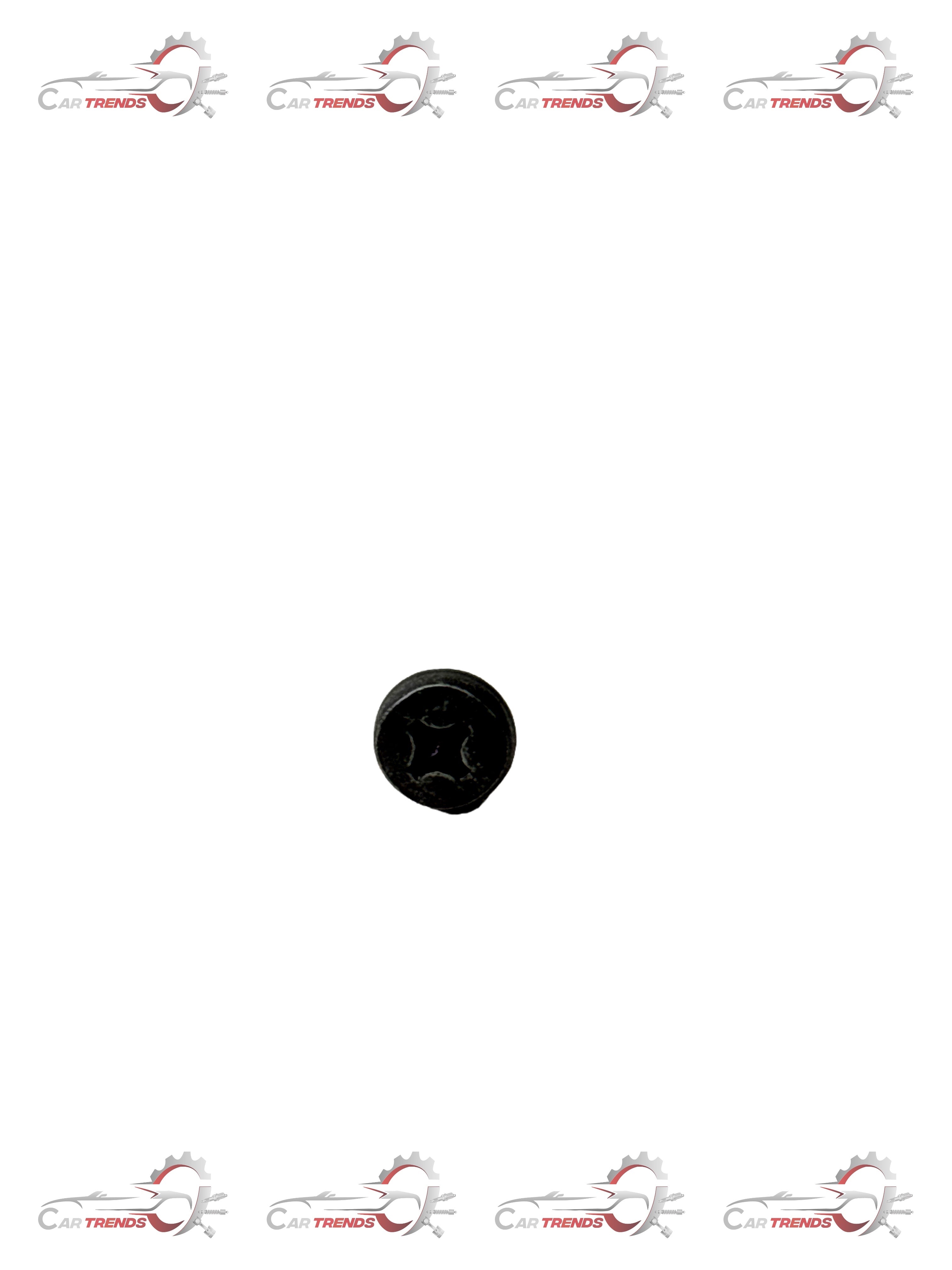 CarTrends T97599818  Screw Hinge Fix Tavera T97599818 - Back view
