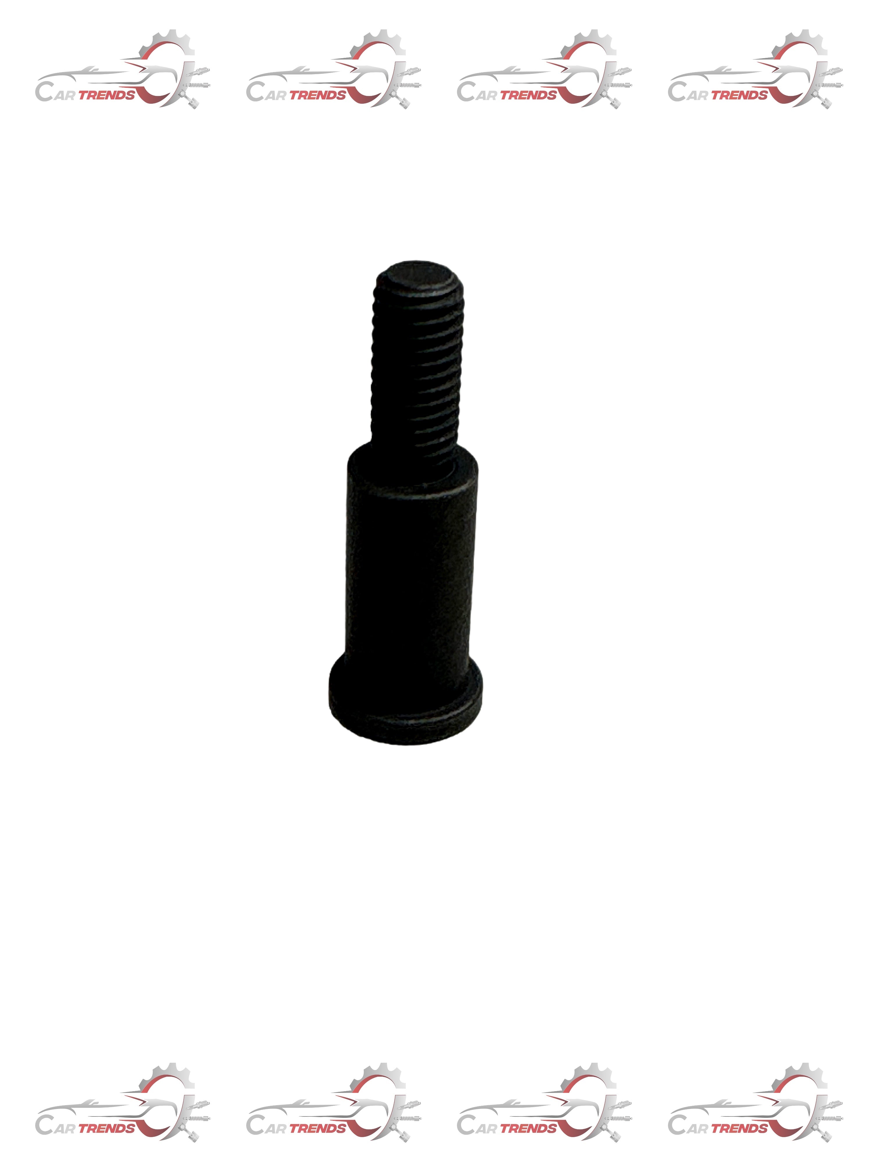 General Motors bolt screw and tensioner for TMG chain, part number J55569700, metal automotive component.
