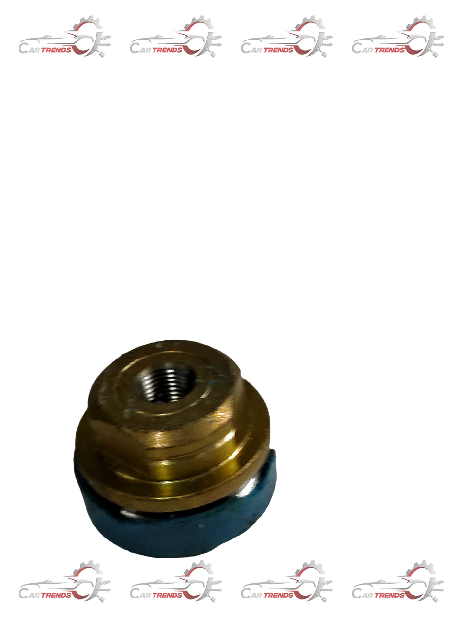 Centre screw plug for Tavera by General Motors, close-up of the black plastic automotive part.