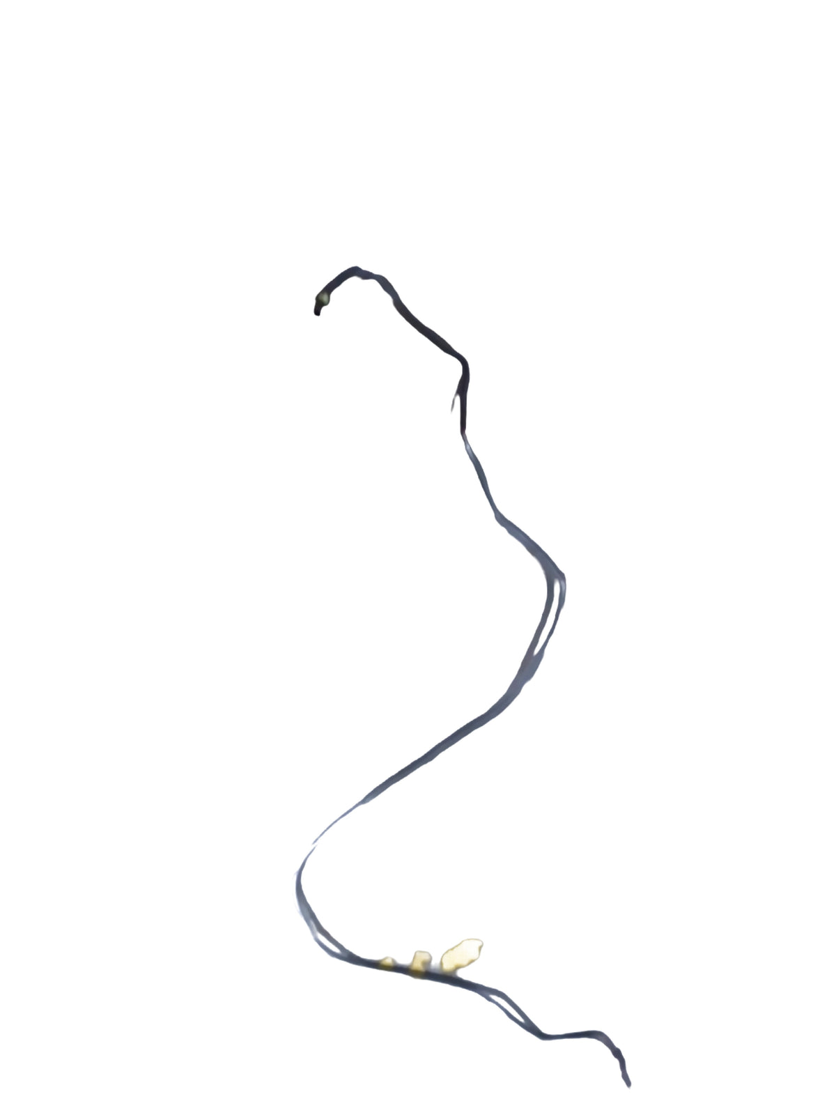 General Motors Pipe A Master Brake U Sec for Optra Petrol, part J92125422, shown in a detailed view of the brake component.
