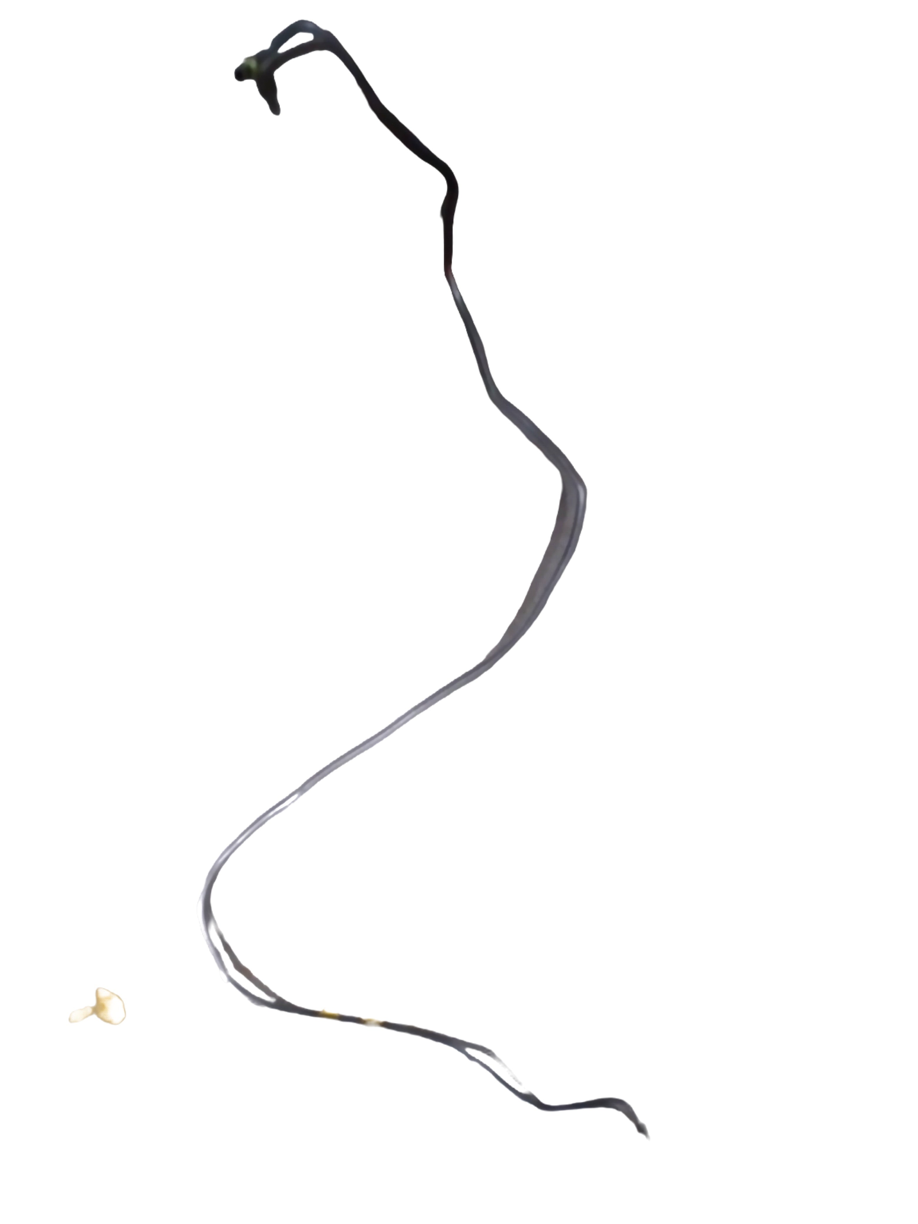General Motors Pipe A Master Brake U for Opel Optra Petrol, part J92125422, visible in the image.