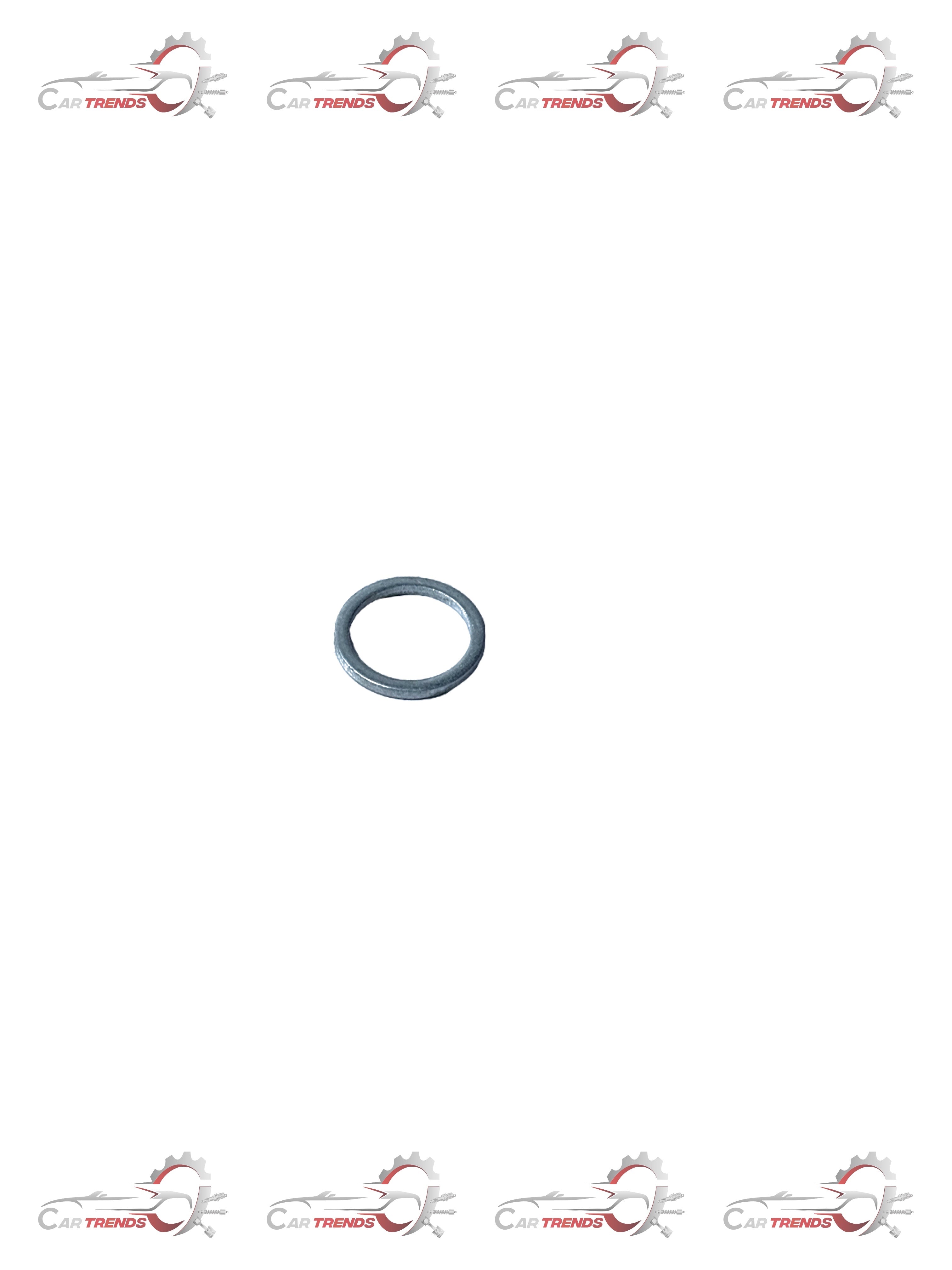 GENERAL MOTORS RING SEALING TAVERA T97599364 T97599364 - Front view