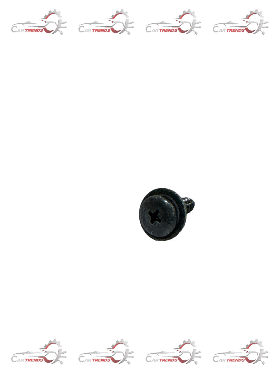 General Motors Screw Beat J94520530, close-up of the durable metal screw used in automotive applications.