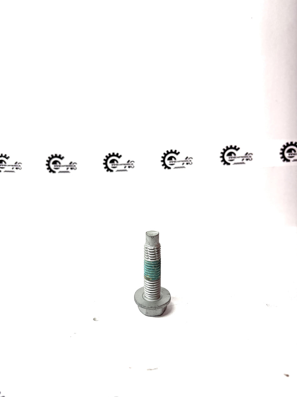 Nissan flanged hex head screw for Renault vehicles, showing a close-up of the metal screw with flange and hex head.