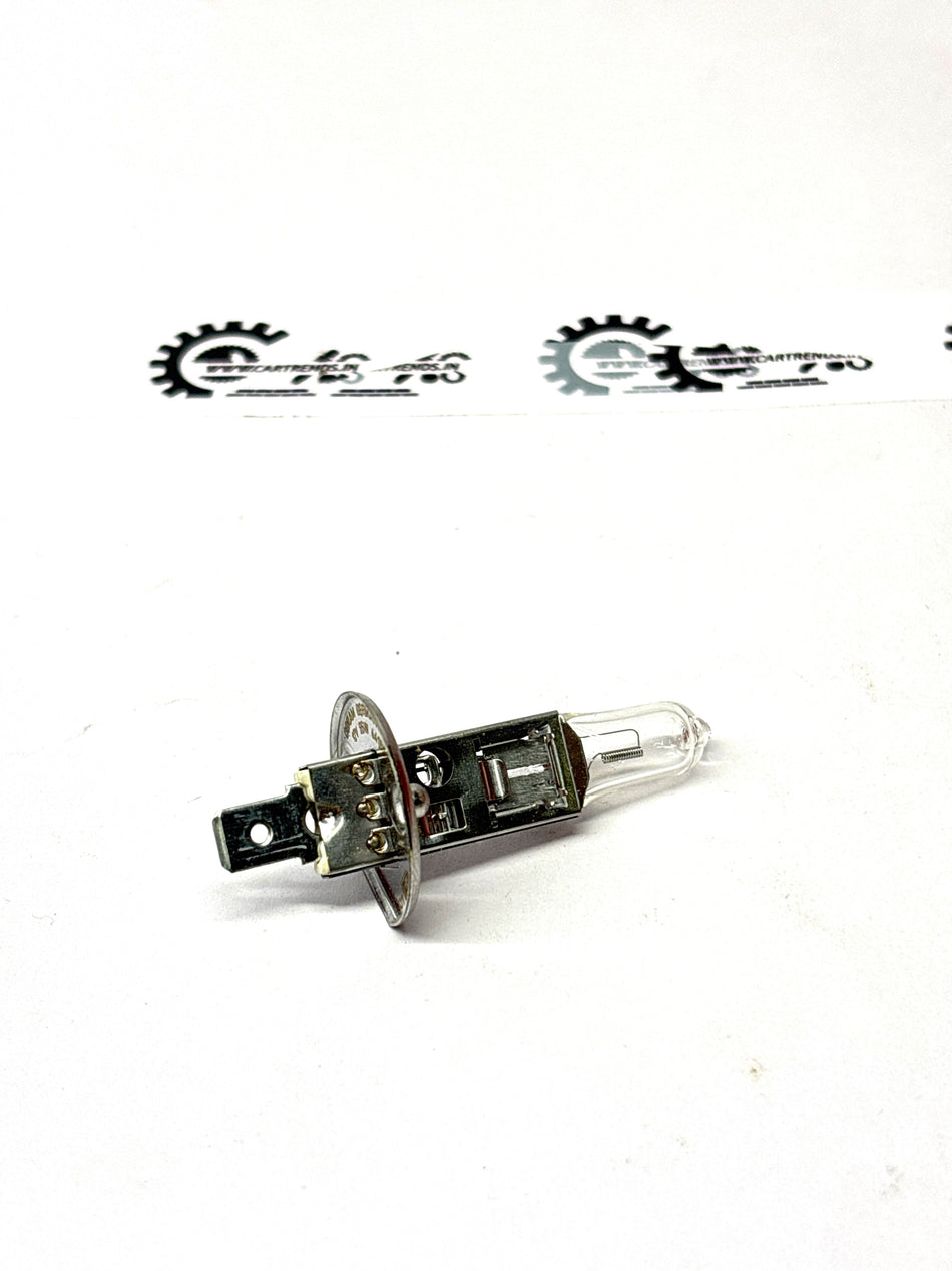 Nissan halogen lamp for Renault vehicles, model #7703097176, showing a close-up of the halogen bulb with a clear glass enclosure.
