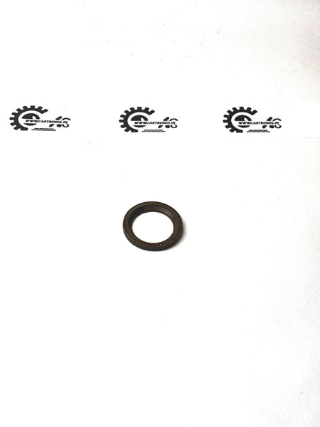GENERAL MOTORS GASKET F INJR BEAT J55205036 J55205036 - Front view