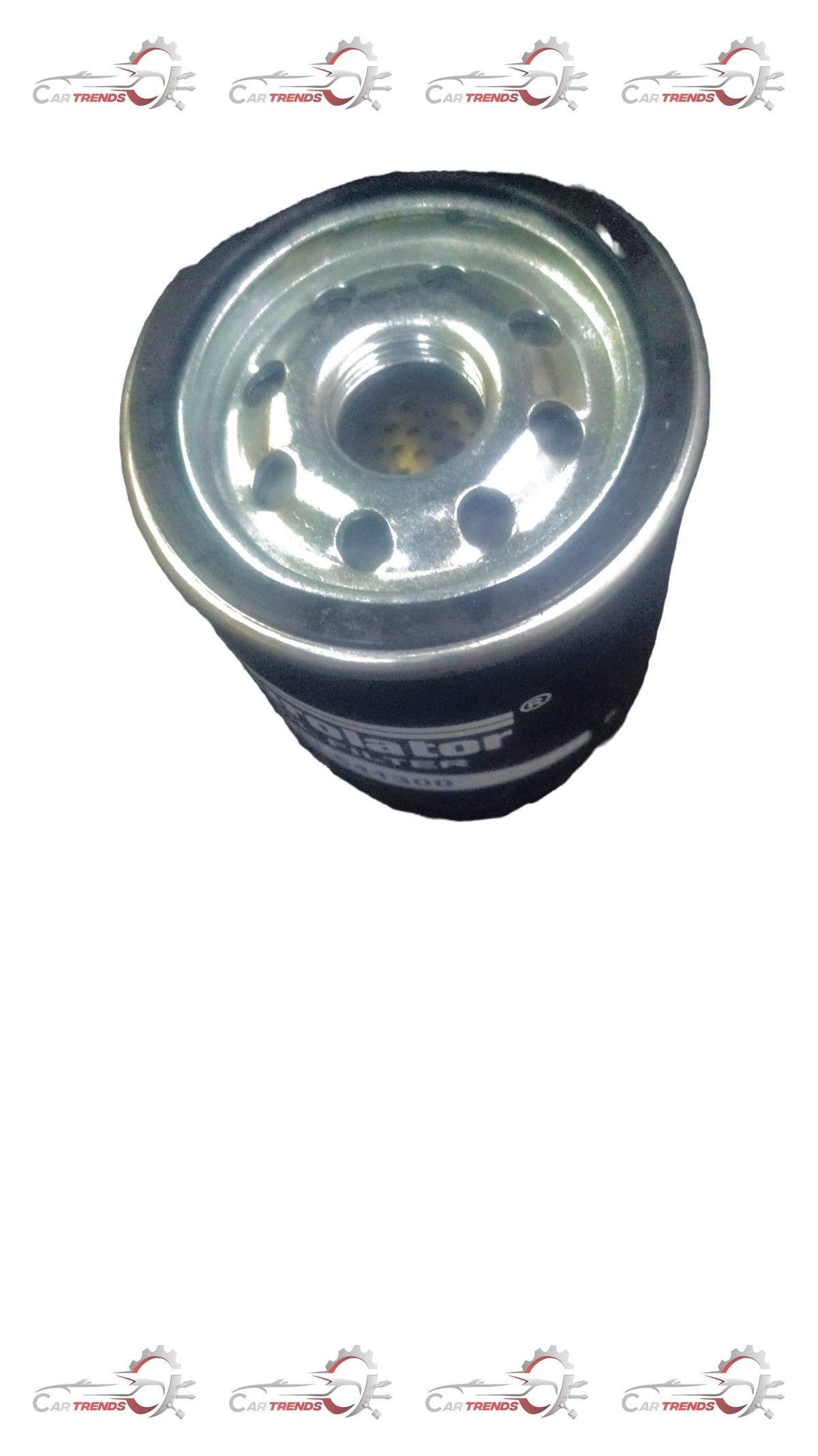 AFTERMARKET OIL FILTER TATA ALTROZ  PL541300 PL541300 - Front view
