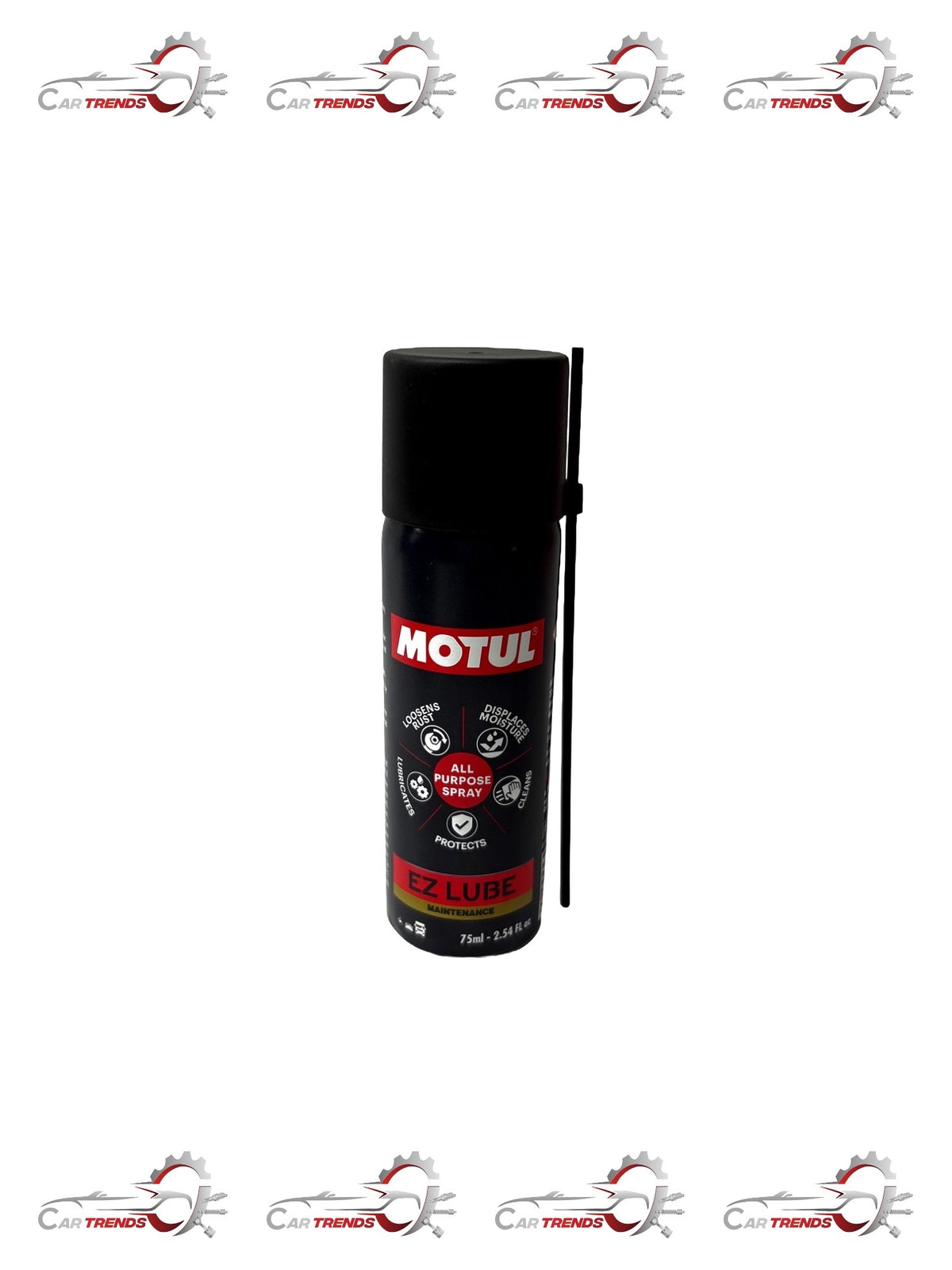 MOTUL EZ LUBE S5500325 - Front view