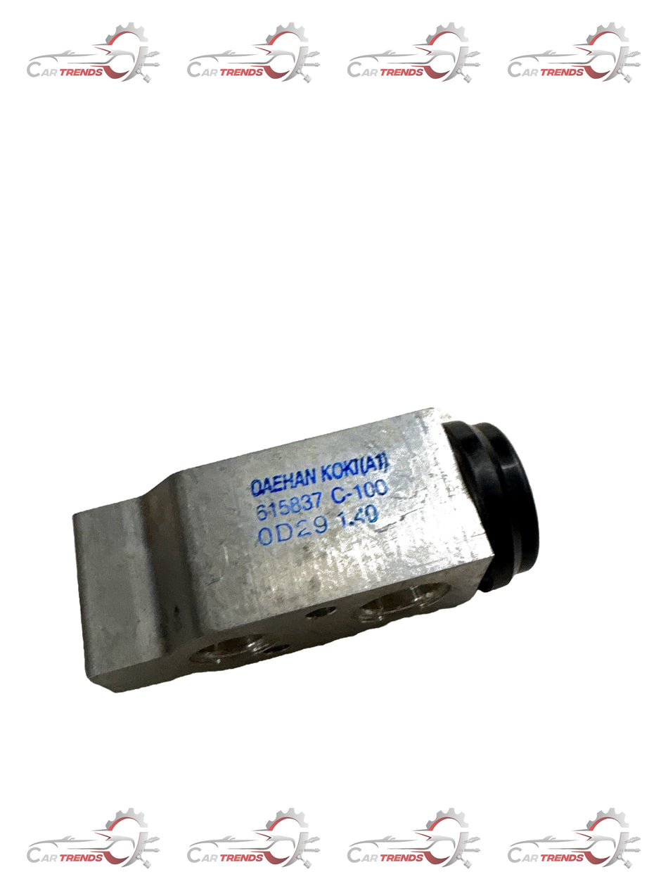 CarTrends J96629609  Ac Thermostat Valve Captiva J96629609 - Back view