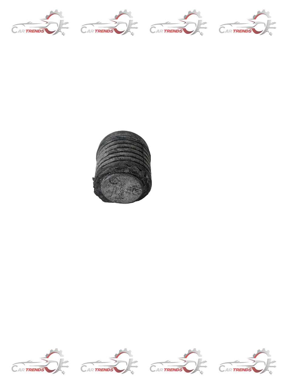 GENERAL MOTORS BUFFER ENG HOOD FRT TAVERA T97595766 T97595766 - Back view