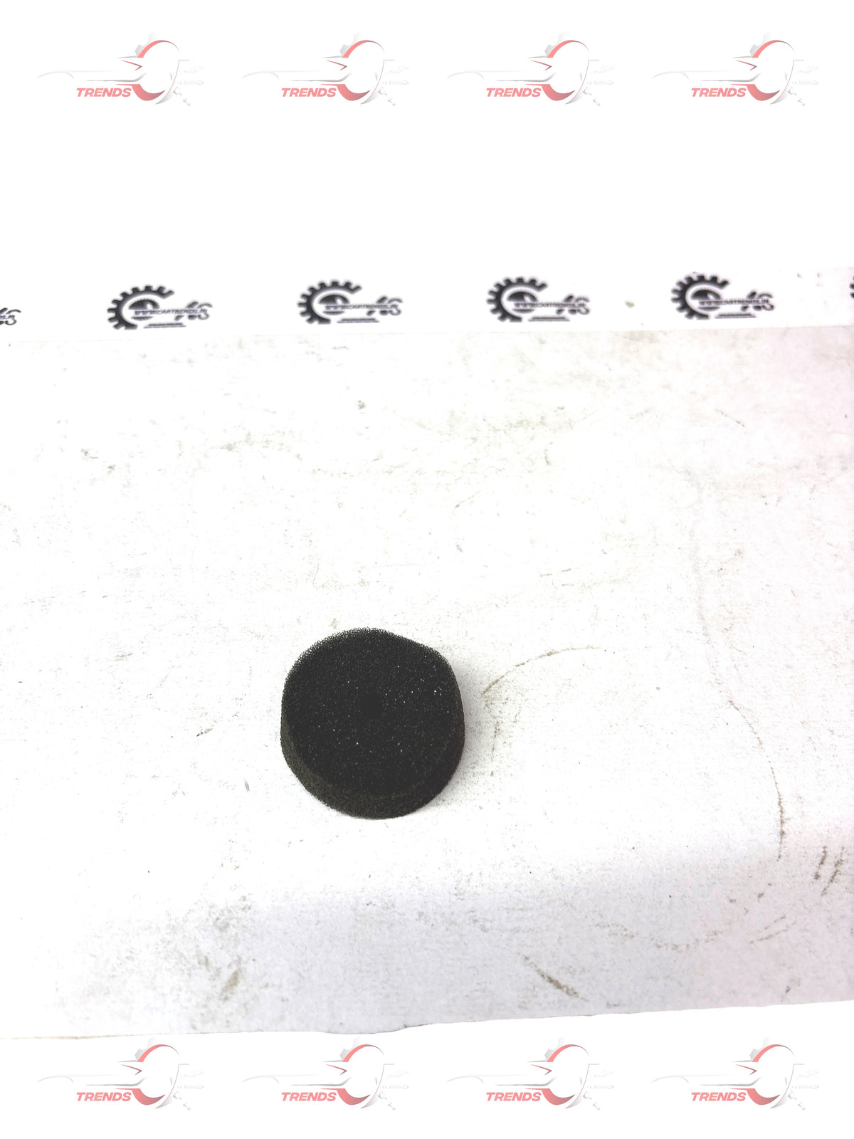 CarTrends J96263717  Oil Sponge Reservoir Optra J96263717 - Back view