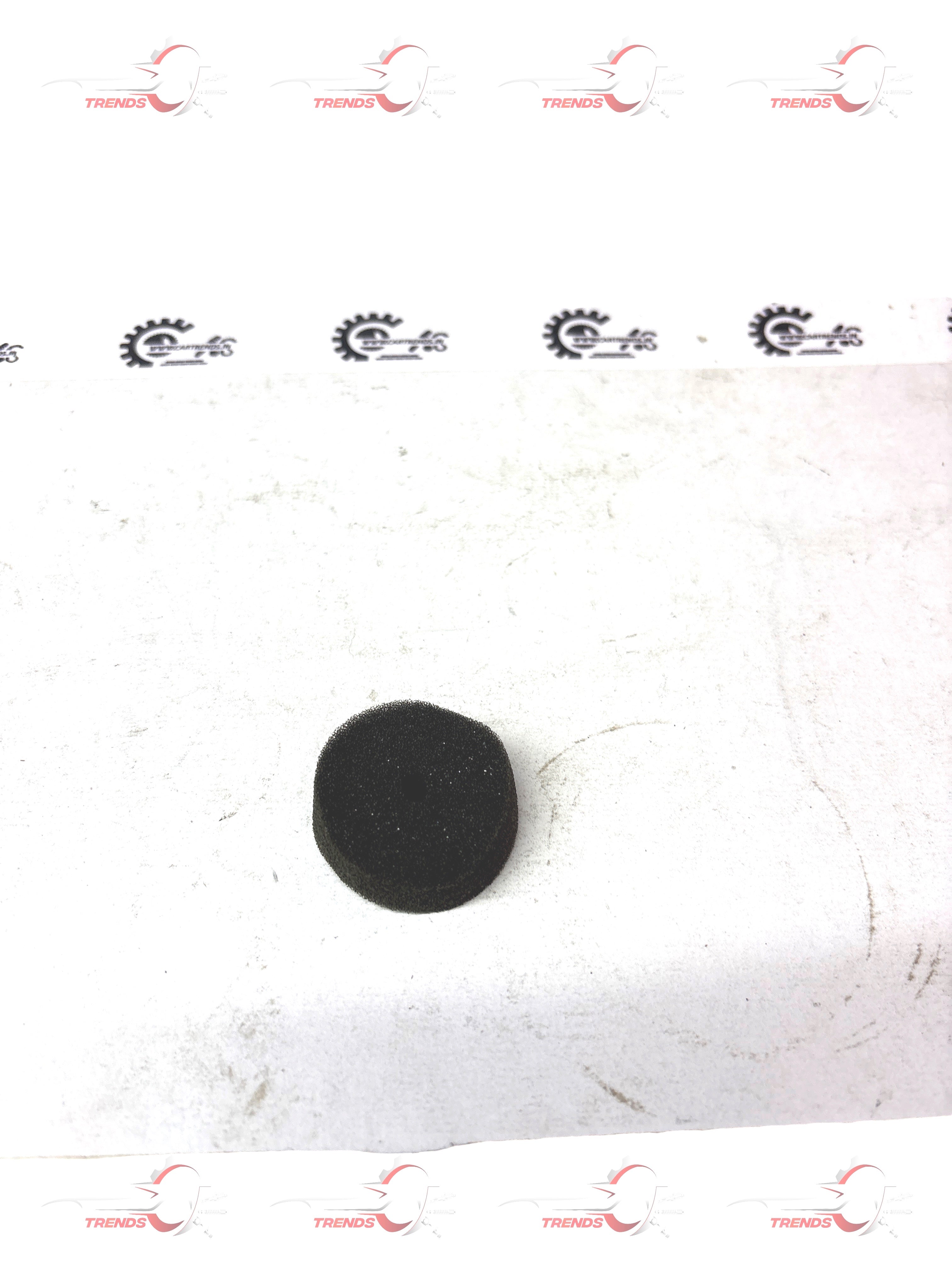 CarTrends J96263717  Oil Sponge Reservoir Optra J96263717 - Back view