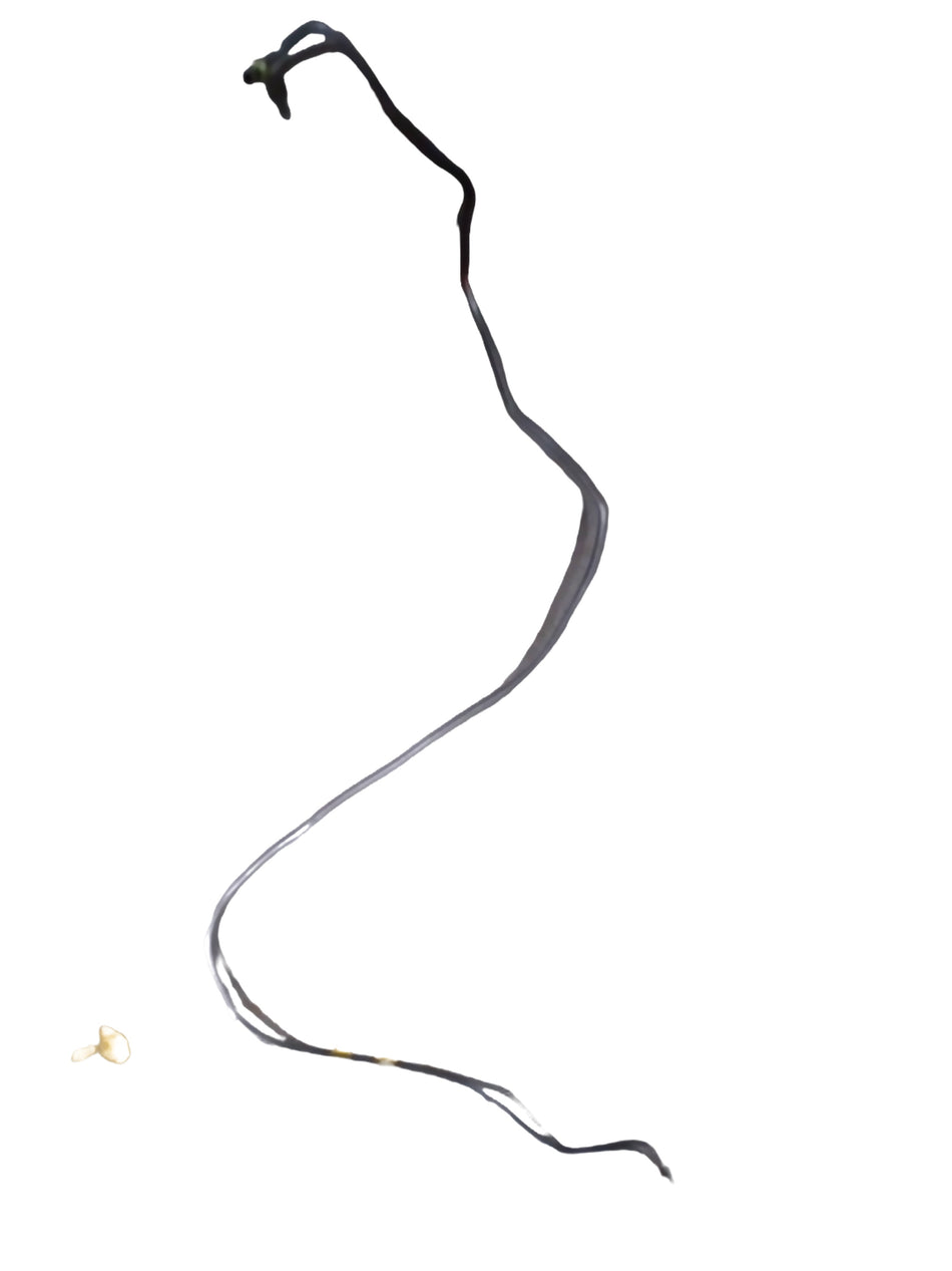 GENERAL MOTORS PIPE A MASTER BRAKE U SEC OPTRA PETROL J92125422 J92125422 - Back view