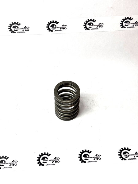 GENERAL MOTORS SPRING VLV TAVERA T97597505 T97597505 - Left view