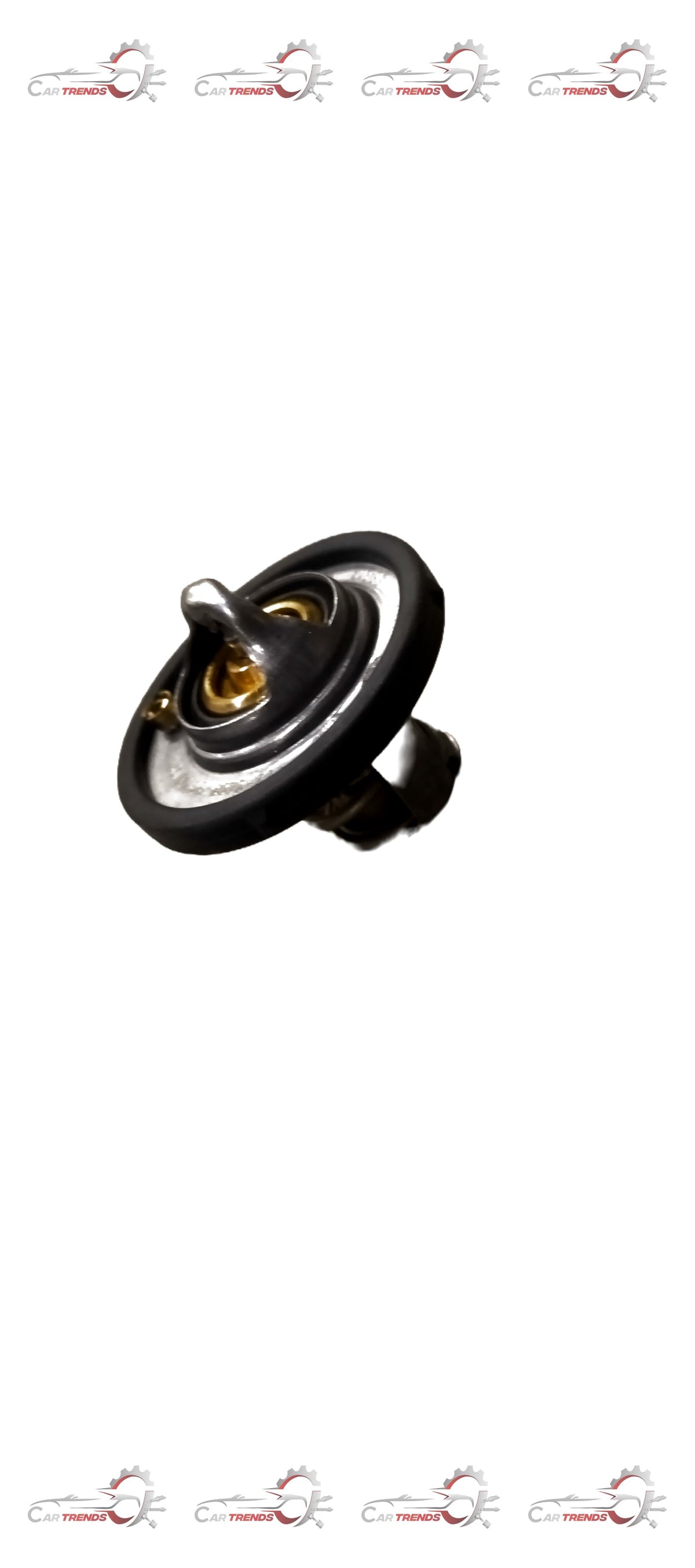 Ford DM5G8575AA thermostat assembly showing the metal housing and connecting components for vehicle cooling system.