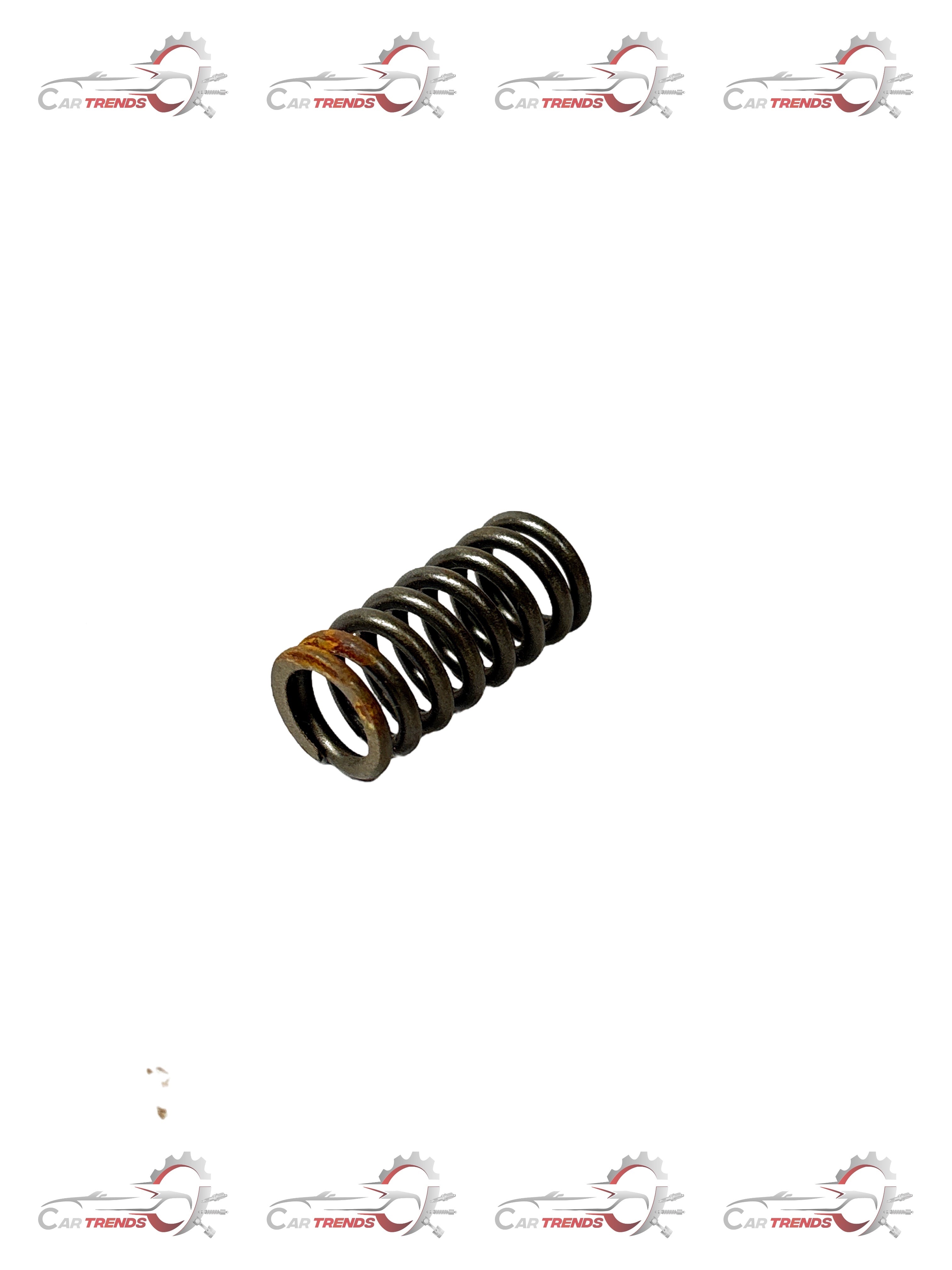 GENERAL MOTORS SPRING VLV BEAT J55570486 J55570486 - Left view
