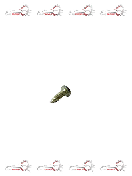 CarTrends 2036813-screw-astra 2036813 - Back view