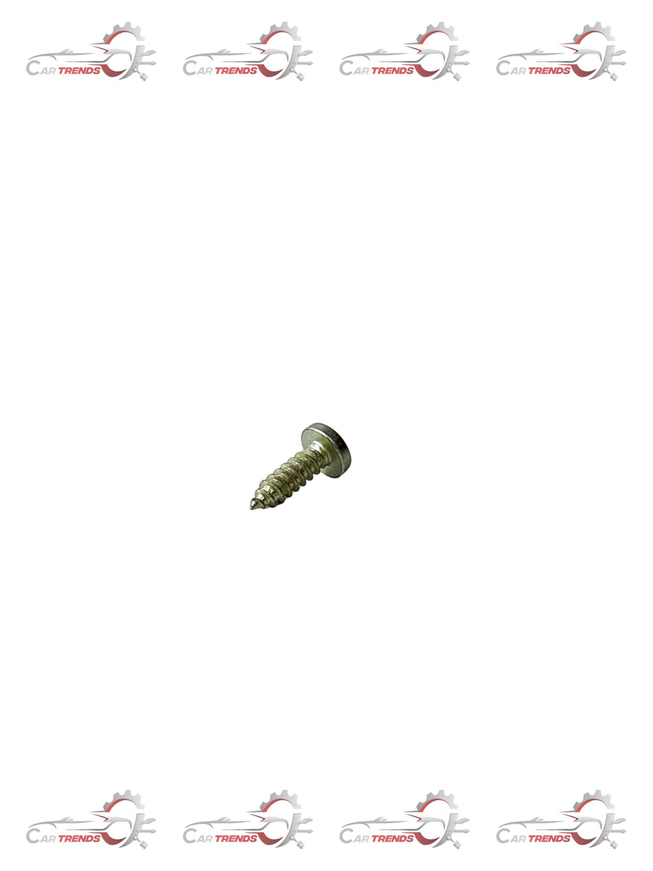 CarTrends 2036813-screw-astra 2036813 - Back view