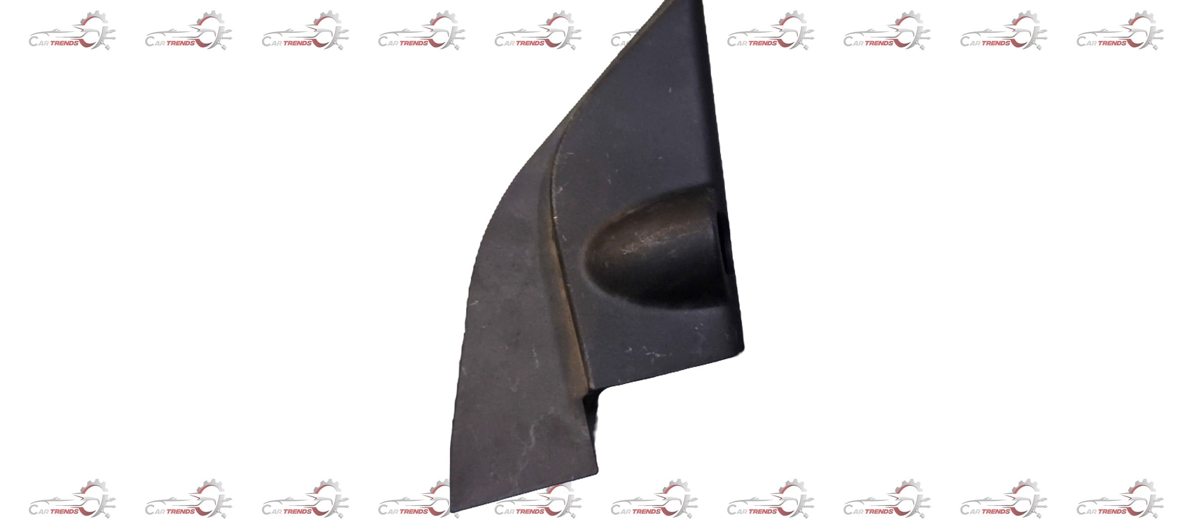 CarTrends Door Cover 802923BB2A - Left view