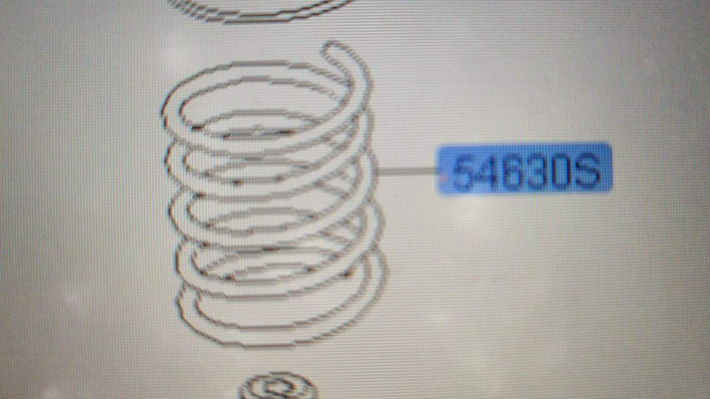 Front Shocker Spring Eon  546304N000