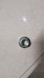 NuT Spark      J94515101