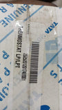 Thermostat Tata      252520120174