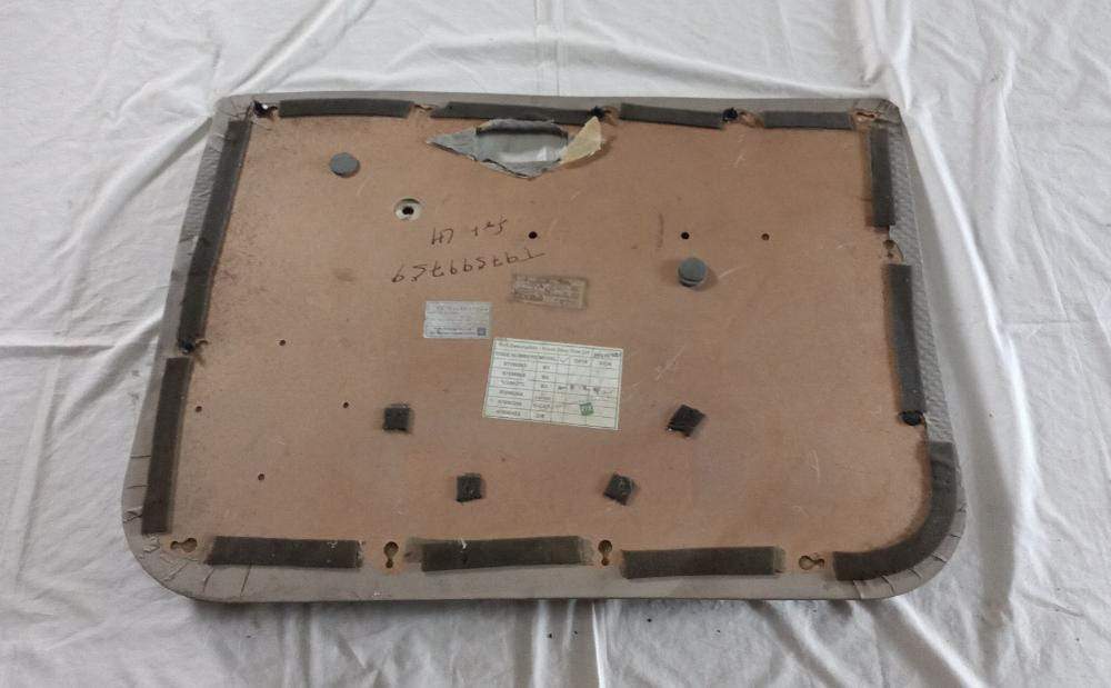 T97599759   Door Trim Tavera Front Left