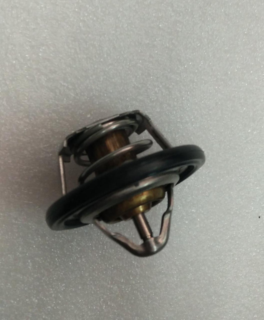 J24101266   Thermostat Sail Diesal